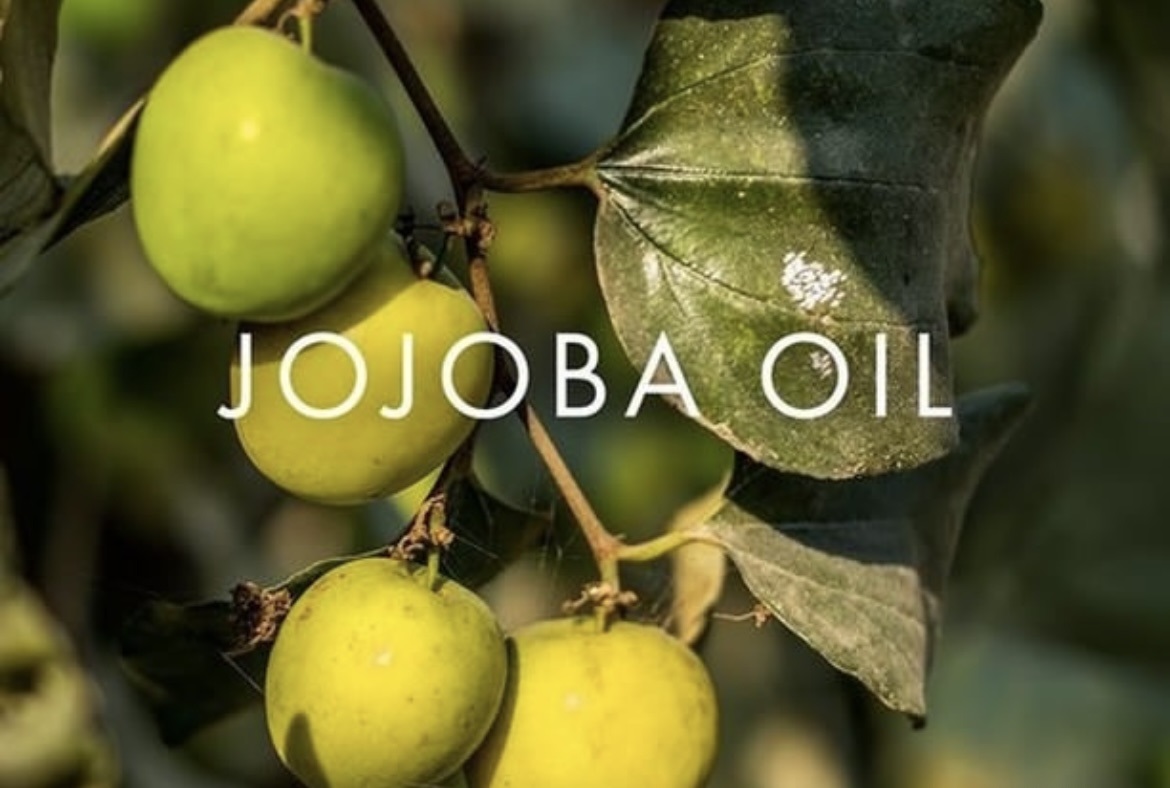 Jojoba Oil